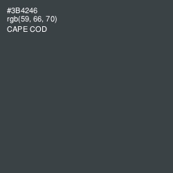 #3B4246 - Cape Cod Color Image